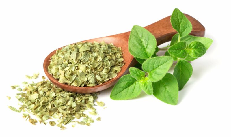 Oregano