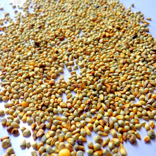 Dehulled Millet