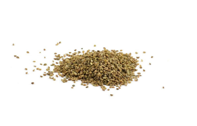 Celery - Seed