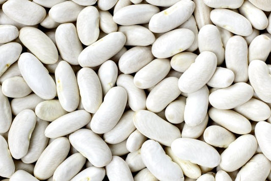 Navy / Small Whites / Haricot Beans