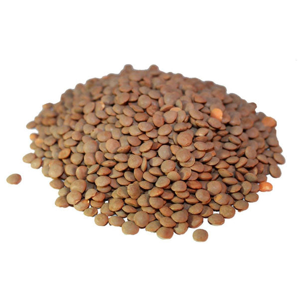 Whole Brown Lentils