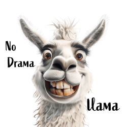 No Drama Lama 2