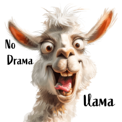 No Drama Lama 3