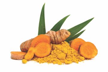 Turmeric Powder - Bright Yellow