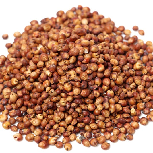 Sorghum Red