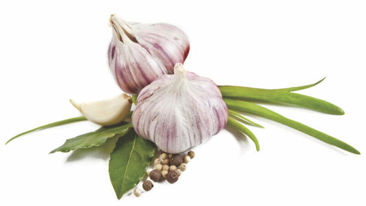 Garlic Granules 8-12 MU