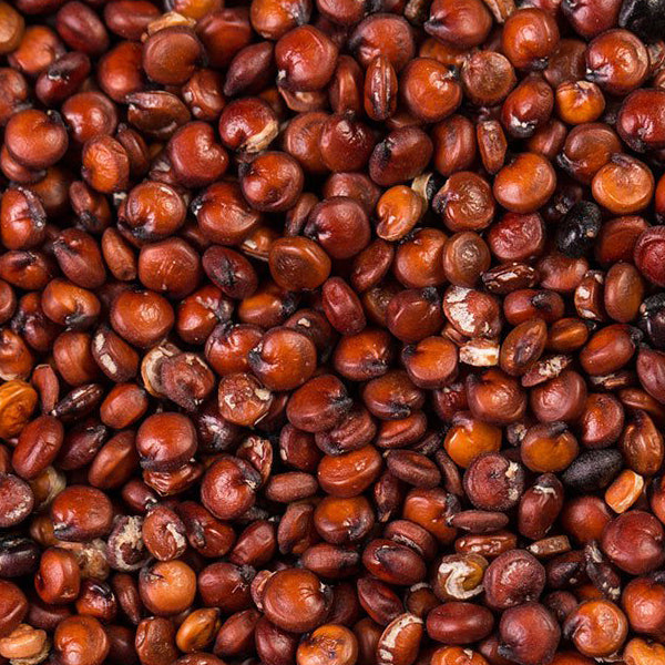 Quinoa Red