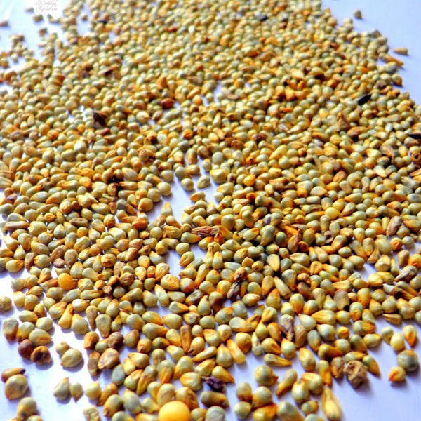 Dehulled Millet