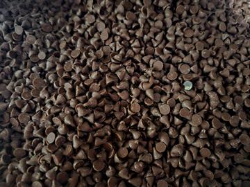 Relianz Dark Chocolate Chips