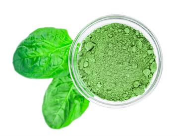 Spinach Powder 25kg