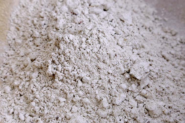 Bakels Diastatic Malt Flour