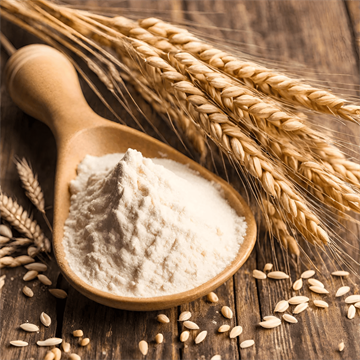 Wheat Gluten