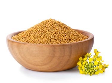 Mustard - Yellow Seed