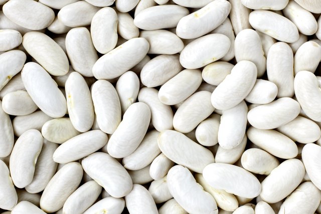 Navy / Small Whites / Haricot Beans