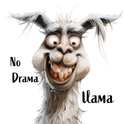 No Drama Lama 4