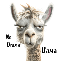 No Drama Lama 1
